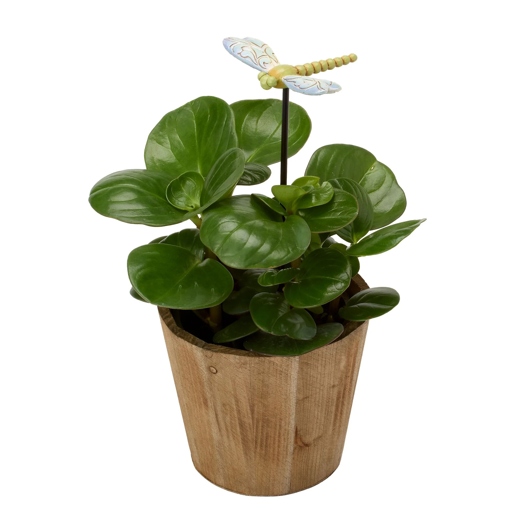 Plant Stake Dragonfly Figurine - Image 9