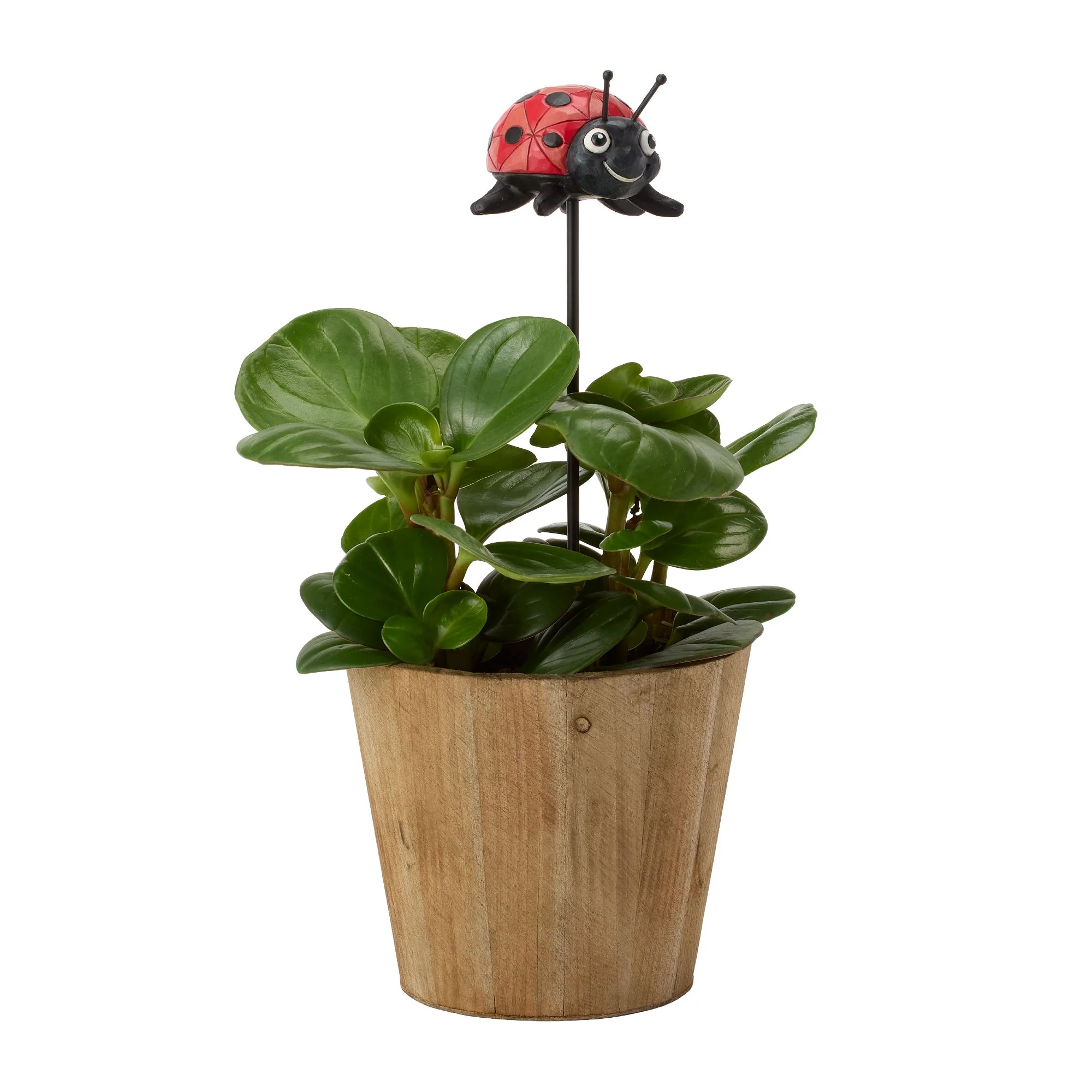 Plant Stake Ladybug Figurine - Image 8